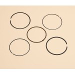 Piston Ring Set