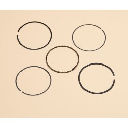 Piston Ring Set