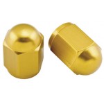 VALVE CAPS ALU 6 2PK CD BikeMaster VALVE CAPS ALU 6 2PK CD BikeMaster