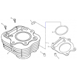 Cylinder