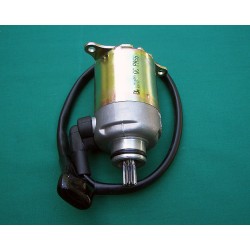 Motor Assy., Starter