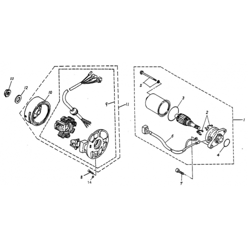 Generator, Starting Motor (Silver Fox 50)