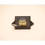 Electronic Module