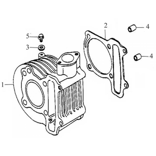 Cylinder (Thunder Bike 150)