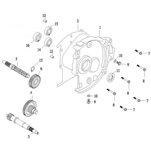 Transmission (Thunder Bike 150) Transmission (Thunder Bike 150)