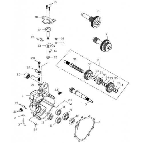 Transmission (Adly ATV 150S Interceptor)