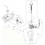 Fuel Tank and Carburetor