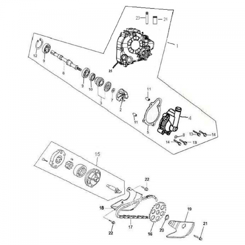 Water Pump | Oil Pump