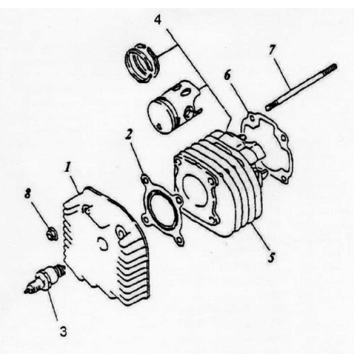 Cylinder | Cylinder Head