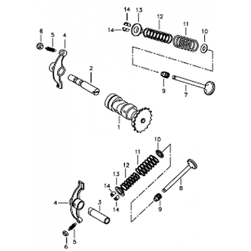 Cramshaft and Valves (Silver Fox (4 Stroke))