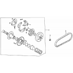 Driven Pulley